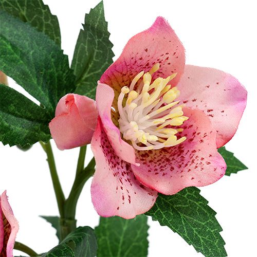 Floristik24 Christmas Rose Pink L22cm 1pz