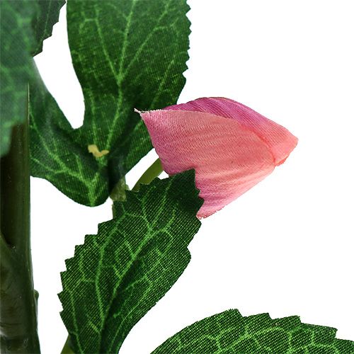 Floristik24 Christmas Rose Pink L22cm 1pz