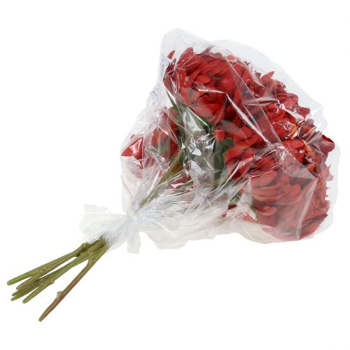 Floristik24 Mazzo di crisantemi rosso vermiglio 28 cm 6 pz