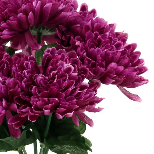 Prodotto Melanzane crisantemo con 7 fiori