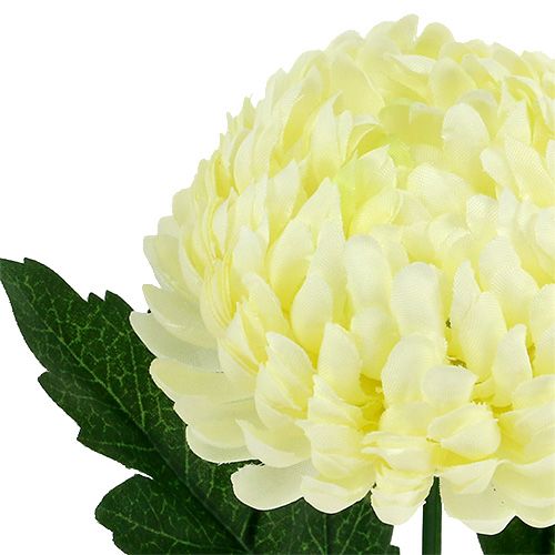 Floristik24 Crema di crisantemo artificiale Ø7cm L18cm