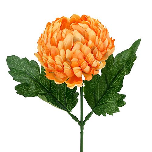 Prodotto Crisantemo Arancio Ø7cm L18cm 1pz