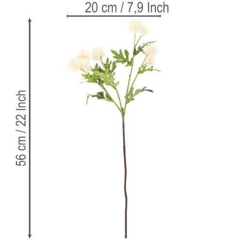 Fiore di crisantemo artificiale, mazzo bianco crema, ramo decorativo, grande 56 cm, 4 pezzi | Floristik24.it