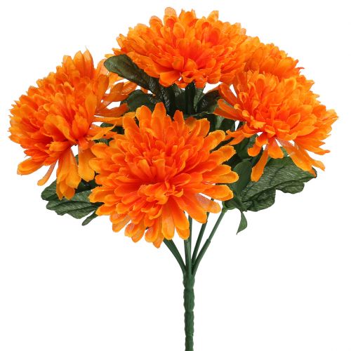 Floristik24 Crisantemo arancione con 7 fiori