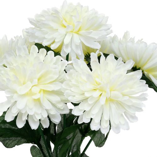 Floristik24 Crisantemo bianco con 7 fiori