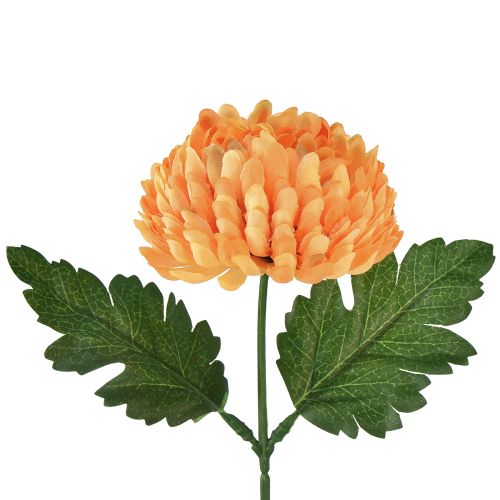 Crisantemo arancione Ø7cm L18cm 1 pz