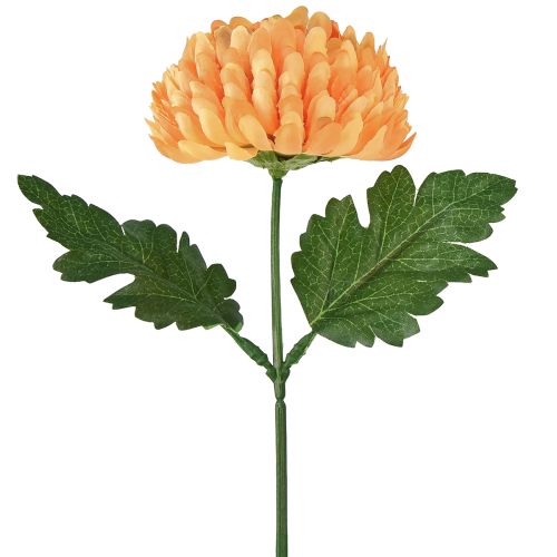 Prodotto Crisantemo arancione Ø7cm L18cm 1 pz
