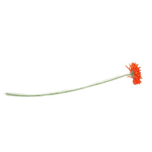 Floristik24 Orsacchiotto Crisantemo 63 cm Arancione