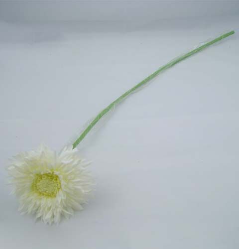 Prodotto Crisantemo Teddy 63cm Bianco