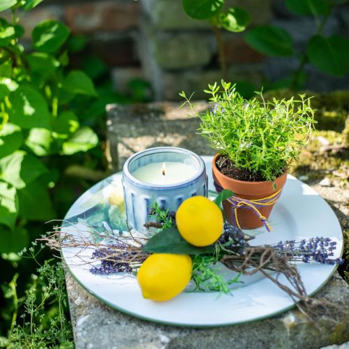 Floristik24 Candela alla citronella in vaso Candela profumata al limone Ø10,5cm H8cm