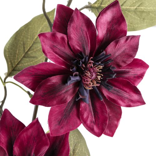 Prodotto Clematis artificiale 3 fiori fiori artificiali Bordeaux 81cm 2 pezzi