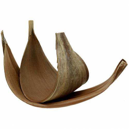 Prodotto Foglia di palma da cocco Galara curva