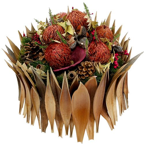 Prodotto Gusci di cocco foglie di cocco sbiancate 25 pz