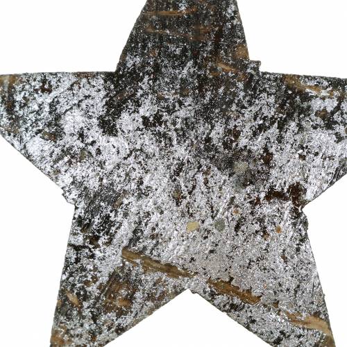 Floristik24 Stella di cocco argento 5 cm 50 pezzi decorazione da tavola argento decorazione Avvento stelle
