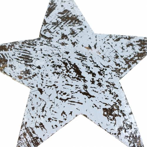 Prodotto Stella di cocco lavata bianca 10 cm 20 pz