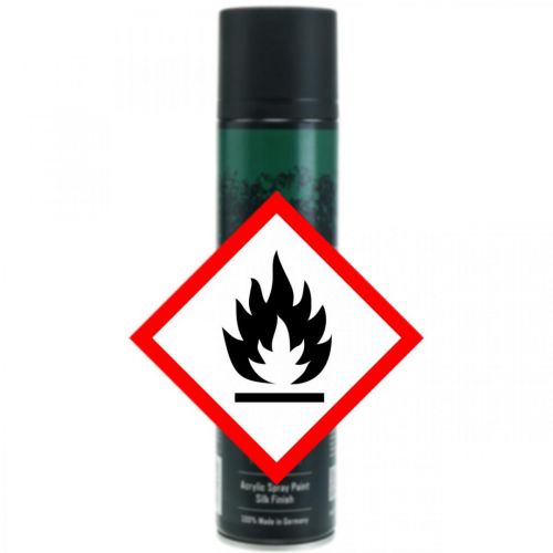 Floristik24 Color Spray Silk Matt spray al muschio da 400 ml