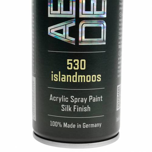 Floristik24 Color Spray Silk Matt spray al muschio di renna da 400 ml