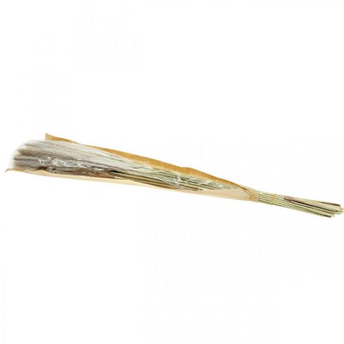 Prodotto Erba secca grappolo naturale di erba di pampa 80cm