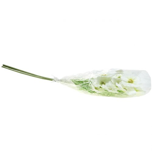 Floristik24 Cosmea bianco 77cm 3pz