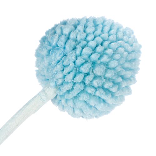 Prodotto Decorazione floreale secca di Craspedia per vaso, stile minimalista, decorazione estiva di lunga durata, 55 cm, 20 pezzi