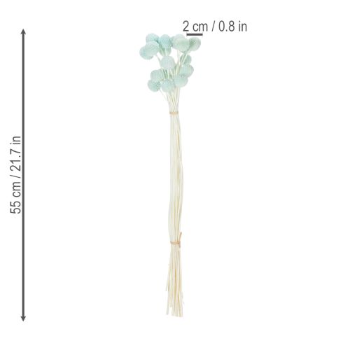 Prodotto Fiori secchi di Craspedia, bouquet decorativo per soggiorno, decorazione da tavola, matrimonio, 55 cm, 20 pezzi