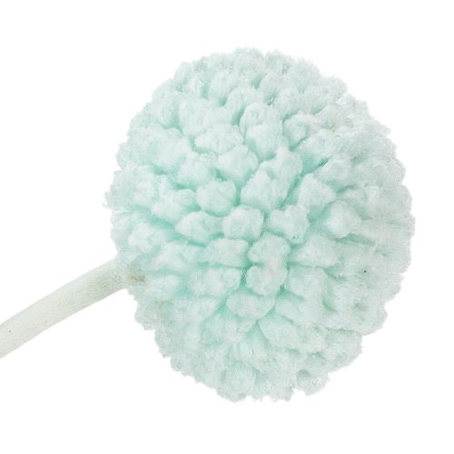 Prodotto Fiori secchi di Craspedia, bouquet decorativo per soggiorno, decorazione da tavola, matrimonio, 55 cm, 20 pezzi