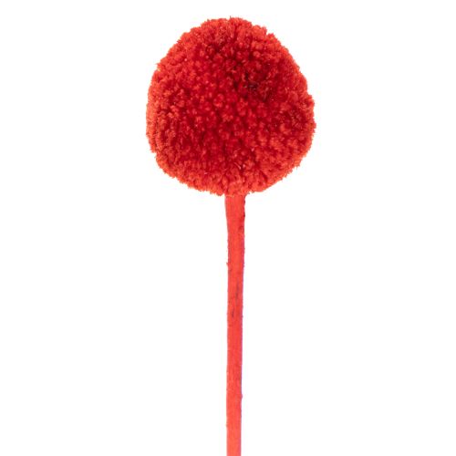 Fiori di Craspedia essiccati, tinti, con steli lunghi, 55 cm, 20 pezzi | Floristik24.it