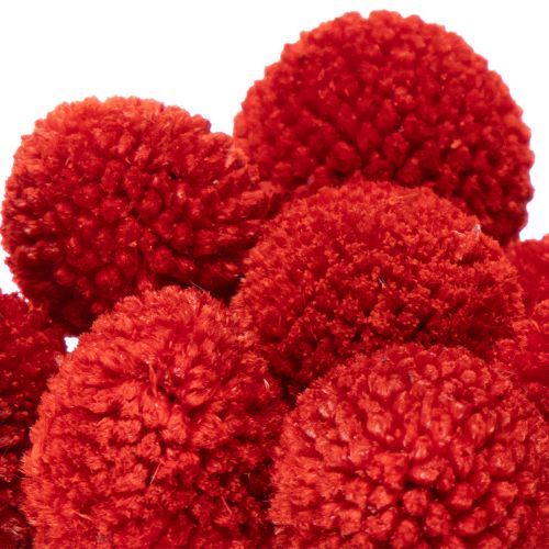 Fiori di Craspedia essiccati, tinti, con steli lunghi, 55 cm, 20 pezzi | Floristik24.it