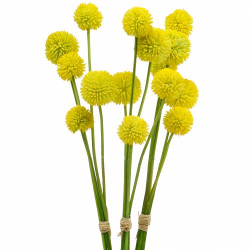 Floristik24 Bacchette Craspedia Giallo Fiori da Giardino Artificiali Fiori di Seta 15pz