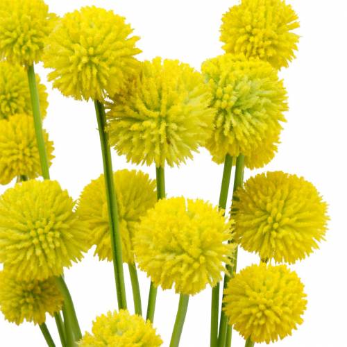 Floristik24 Bacchette Craspedia Giallo Fiori da Giardino Artificiali Fiori di Seta 15pz
