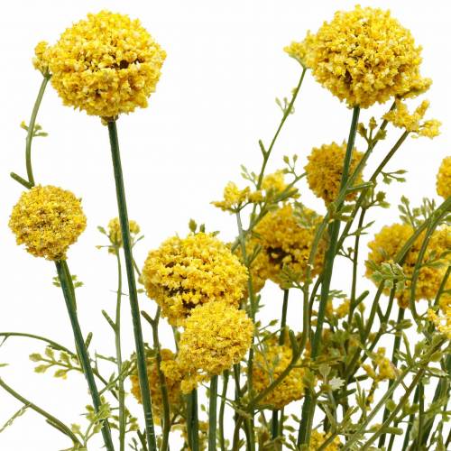 Floristik24 Craspedia artificiale in bacchette gialle a grappolo 3 pezzi