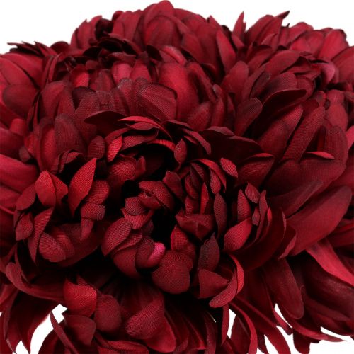 Floristik24 Mazzo di crisantemi Bordeaux 28cm 6 pezzi