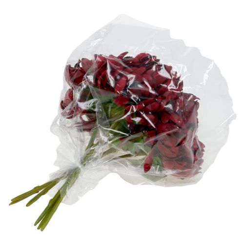 Floristik24 Mazzo di crisantemi Bordeaux 28cm 6 pezzi
