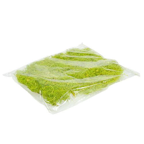 Floristik24 Muschio riccio verde chiaro 350g