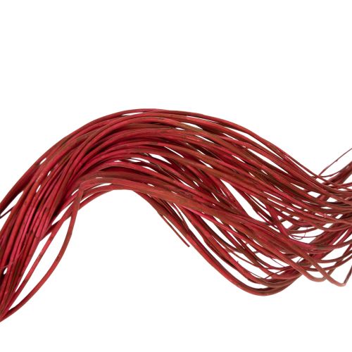 Prodotto Ramo decorativo essiccato di salice riccio per fiori creativi e accessori per la casa 80 cm 70 g