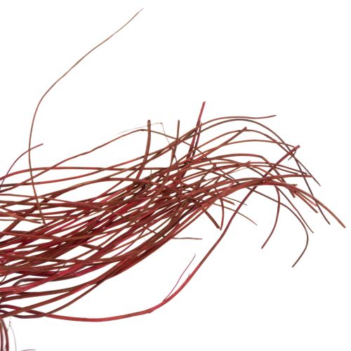 Prodotto Ramo decorativo essiccato di salice riccio per fiori creativi e accessori per la casa 80 cm 70 g