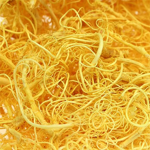 Floristik24 Muschio riccio giallo chiaro 350g