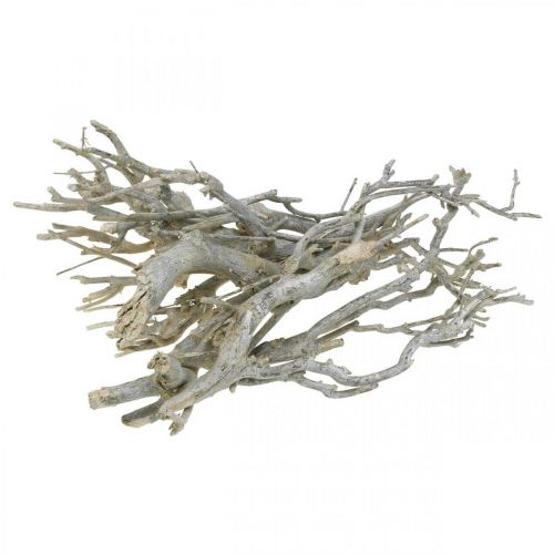 Floristik24 Rami decorativi Currybusch, decorazione natalizia, Avvento, decorazione naturale Dorato, bianco slavato L25–30cm 500g