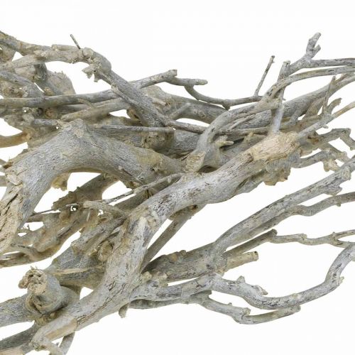 Floristik24 Rami decorativi Currybusch, decorazione natalizia, Avvento, decorazione naturale Dorato, bianco slavato L25–30cm 500g
