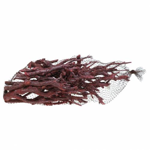 Prodotto Ramo decorativo Currybusch lavato rosso 500g
