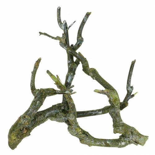 Prodotto Cespuglio di curry ramo deco verde lavato 500g