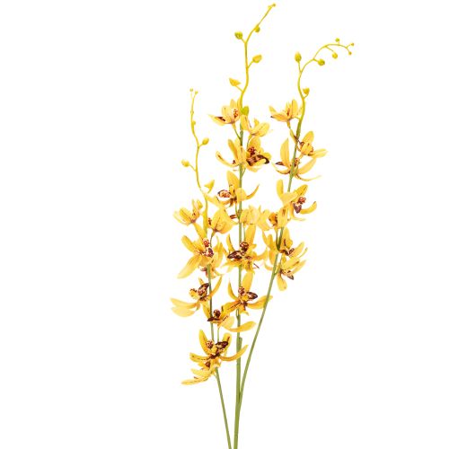 Orchidea artificiale Cymbidium come stelo floreale per una decorazione elegante, 95 cm, 2 pezzi