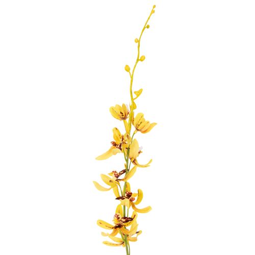 Prodotto Orchidea artificiale Cymbidium come stelo floreale per una decorazione elegante, 95 cm, 2 pezzi
