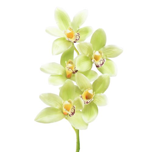 Floristik24 Orchidea Cymbidium artificiale 5 fiori verdi 65 cm