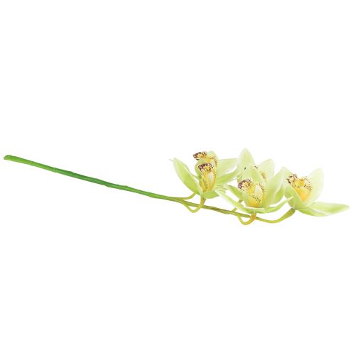 Prodotto Orchidea Cymbidium artificiale 5 fiori verdi 65 cm