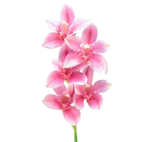 Orchidea Cymbidium artificiale 5 fiori rosa 65 cm