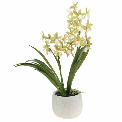 Floristik24 Orchidea Cymbidium Verde in vaso Artificiale H46cm