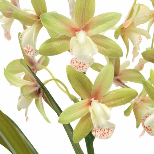 Prodotto Orchidea Cymbidium Verde in vaso Artificiale H46cm