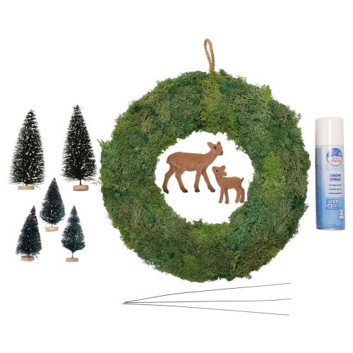 Floristik24 Scatola fai da te ghirlanda di muschio ghirlanda invernale per porta della foresta natalizia Ø34 cm