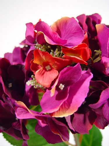 Floristik24 Ortensia 43cm viola scuro (3 pezzi)